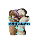 ナラファミリー10（個別スタンプ：8）