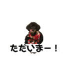 あいあむリアンvol.2（個別スタンプ：2）