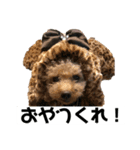 あいあむリアンvol.2（個別スタンプ：6）