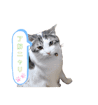 MADDER'sすたんぷ②（個別スタンプ：4）