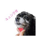 MADDER'sすたんぷ②（個別スタンプ：7）