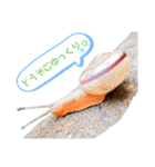 MADDER'sすたんぷ②（個別スタンプ：8）