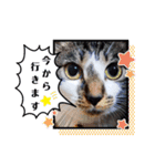 MADDER'sすたんぷ②（個別スタンプ：15）