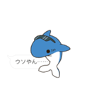 【吹き出し】関西弁のサメ、シャーくん！（個別スタンプ：24）
