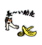 nekomaneki26（個別スタンプ：1）