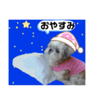 KOTAROU＆MAME（個別スタンプ：4）