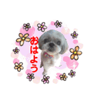 KOTAROU＆MAME（個別スタンプ：8）