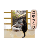 KOTAROU＆MAME（個別スタンプ：15）