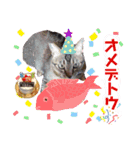 KOTAROU＆MAME（個別スタンプ：16）