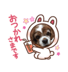 小太郎のスタンプ2（個別スタンプ：2）
