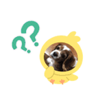 小太郎のスタンプ2（個別スタンプ：3）