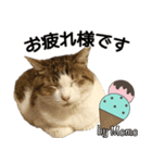 Momo姫（個別スタンプ：8）