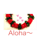 Aloha  Lei / アロハ レイ ハワイ（個別スタンプ：1）