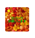 Aloha  Lei / アロハ レイ ハワイ（個別スタンプ：7）