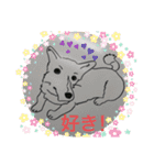 イワモトコー（個別スタンプ：1）