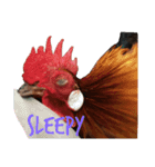 chicken emotions（個別スタンプ：1）