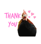 chicken emotions（個別スタンプ：6）