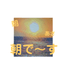 たけしのスタンプ  その14（個別スタンプ：1）