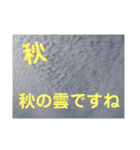 たけしのスタンプ  その14（個別スタンプ：3）