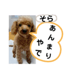 たけしのスタンプ  その14（個別スタンプ：19）