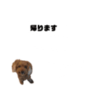 chii＆mii（個別スタンプ：2）