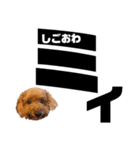 chii＆mii（個別スタンプ：3）