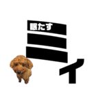 chii＆mii（個別スタンプ：4）