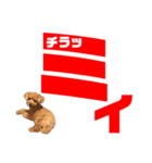 chii＆mii（個別スタンプ：5）