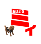 chii＆mii（個別スタンプ：8）