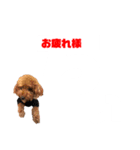 chii＆mii（個別スタンプ：11）