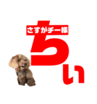 chii＆mii（個別スタンプ：13）