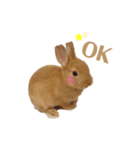 うさぎのうにさん(敬語、量産型ver.)（個別スタンプ：1）