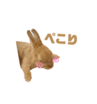 うさぎのうにさん(敬語、量産型ver.)（個別スタンプ：3）