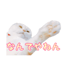 ゴヤモコスタンプ★日常編（個別スタンプ：1）