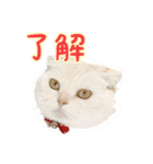 ゴヤモコスタンプ★日常編（個別スタンプ：27）