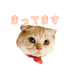 ゴヤモコスタンプ★日常編（個別スタンプ：30）