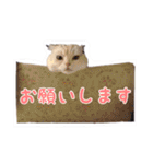 ゴヤモコスタンプ★日常編（個別スタンプ：32）