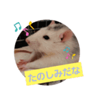 うちのねずみくん（個別スタンプ：3）