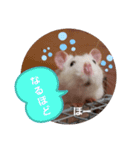 うちのねずみくん（個別スタンプ：6）