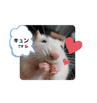 うちのねずみくん（個別スタンプ：7）