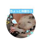うちのねずみくん（個別スタンプ：11）