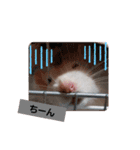 うちのねずみくん（個別スタンプ：13）