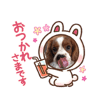 アレックスのスタンプ1（個別スタンプ：15）