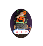 毎日ピロくん8（個別スタンプ：3）