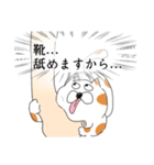 媚びを売るぶち猫（個別スタンプ：1）