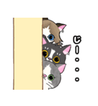 ハチワレにゃんず1（個別スタンプ：18）