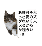 うちのゲべ3（個別スタンプ：3）