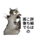 うちのゲべ3（個別スタンプ：4）