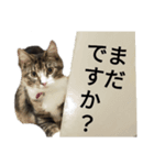 うちのゲべ3（個別スタンプ：8）