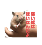 どうも、ハムスターのウニです。2（個別スタンプ：2）